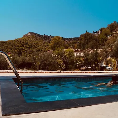 Διαμέρισμα Throisma With Private Pool & Parking *